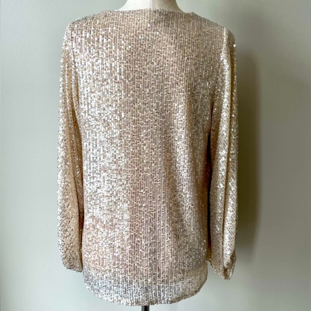Vine & Love | V-Neck Sequin Blouse with Balloon Sleeves | Champagne | Small - Picture 3 of 5